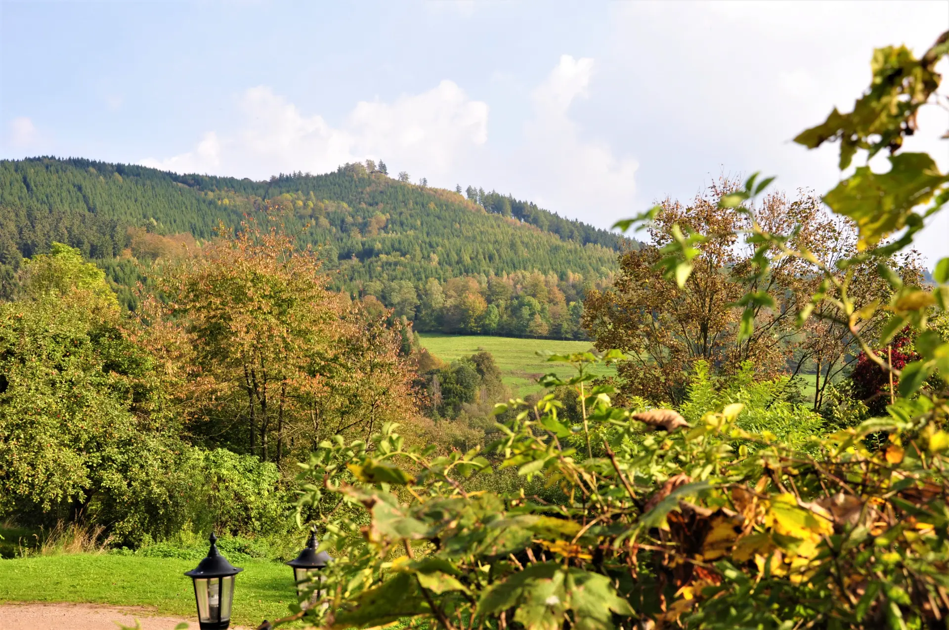 Blick auf eine hügelige Landschaft mit Wiesen, buntem Mischwald und dem Thüringer Wald im Hintergrund.