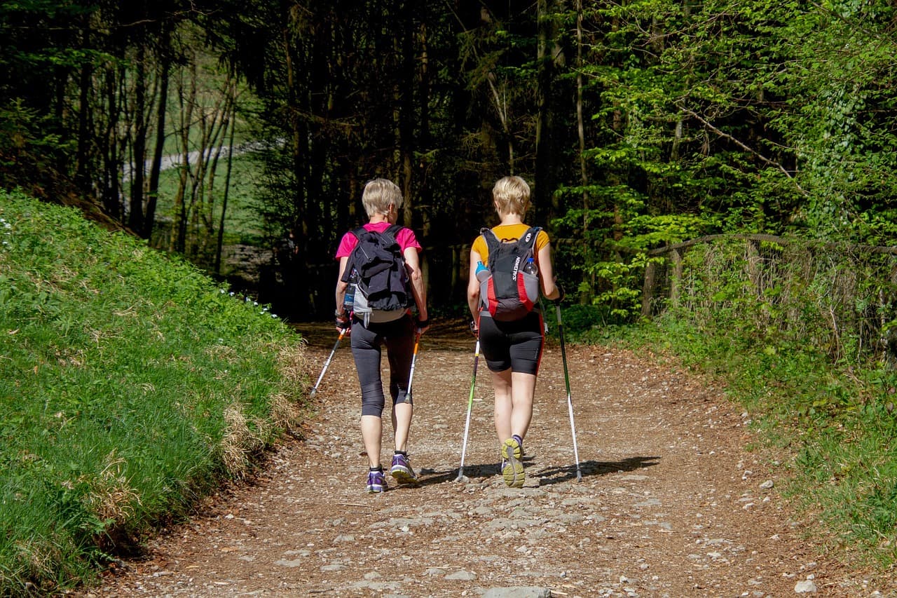 Zwei Frauen beim Wandern auf einem Waldweg im Thüringer Wald.